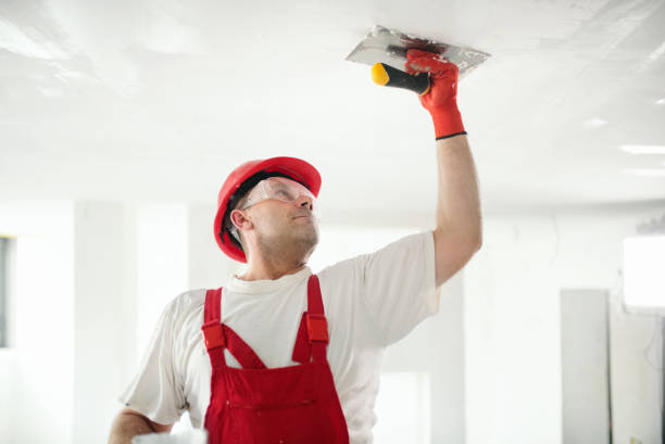 Professional Painting & Drywall Installation in Forest Hill, TX